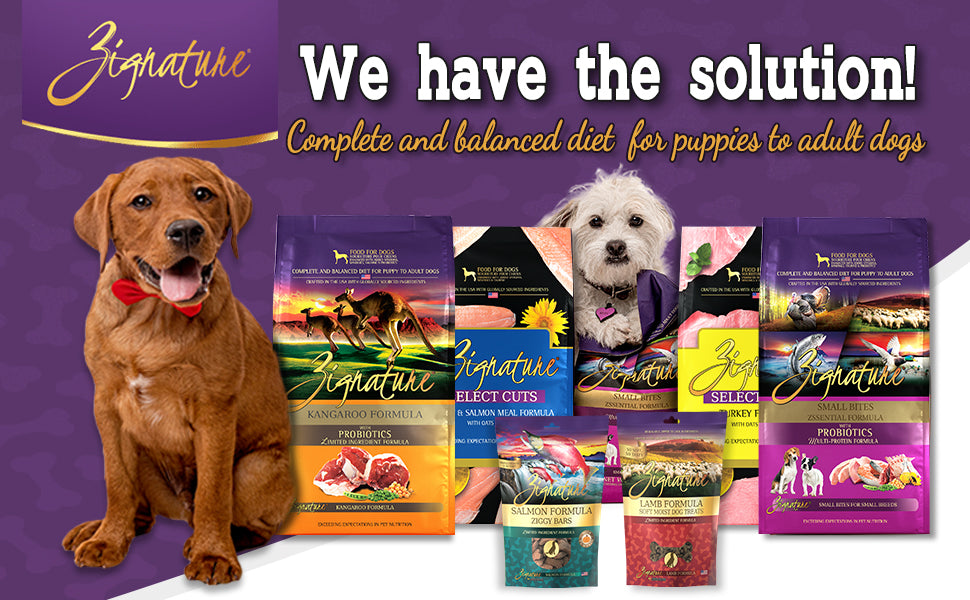 Zignature Dog Food 4lb bag.